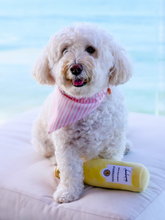 Load image into Gallery viewer, Pinky Reversible Collar Bandana (Pink Stripe / Pink Floral) - Vanderpump Pets
