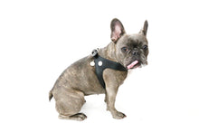 Load image into Gallery viewer, VP Pets Black Harness - Vanderpump Pets
