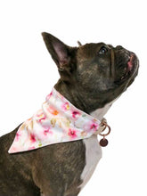 Load image into Gallery viewer, Pinky Reversible Collar Bandana (Pink Stripe / Pink Floral) - Vanderpump Pets
