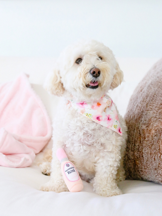 Pinky Reversible Collar Bandana (Pink Stripe / Pink Floral) - Vanderpump Pets
